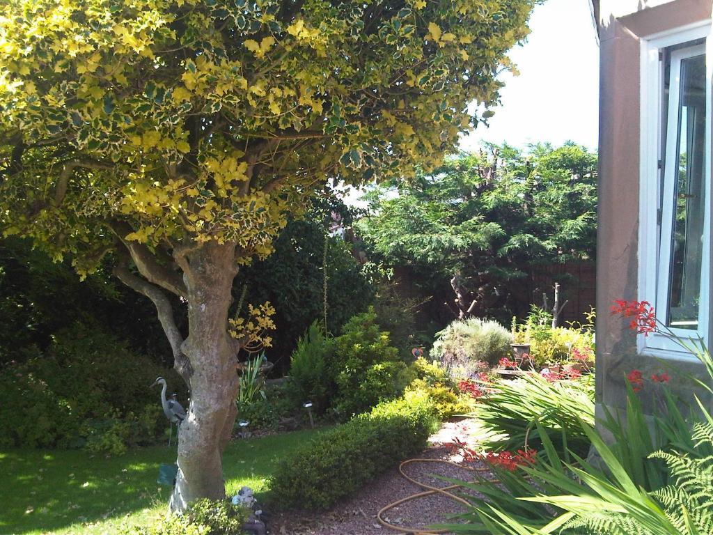 James Cottage Guest House Crieff Luaran gambar